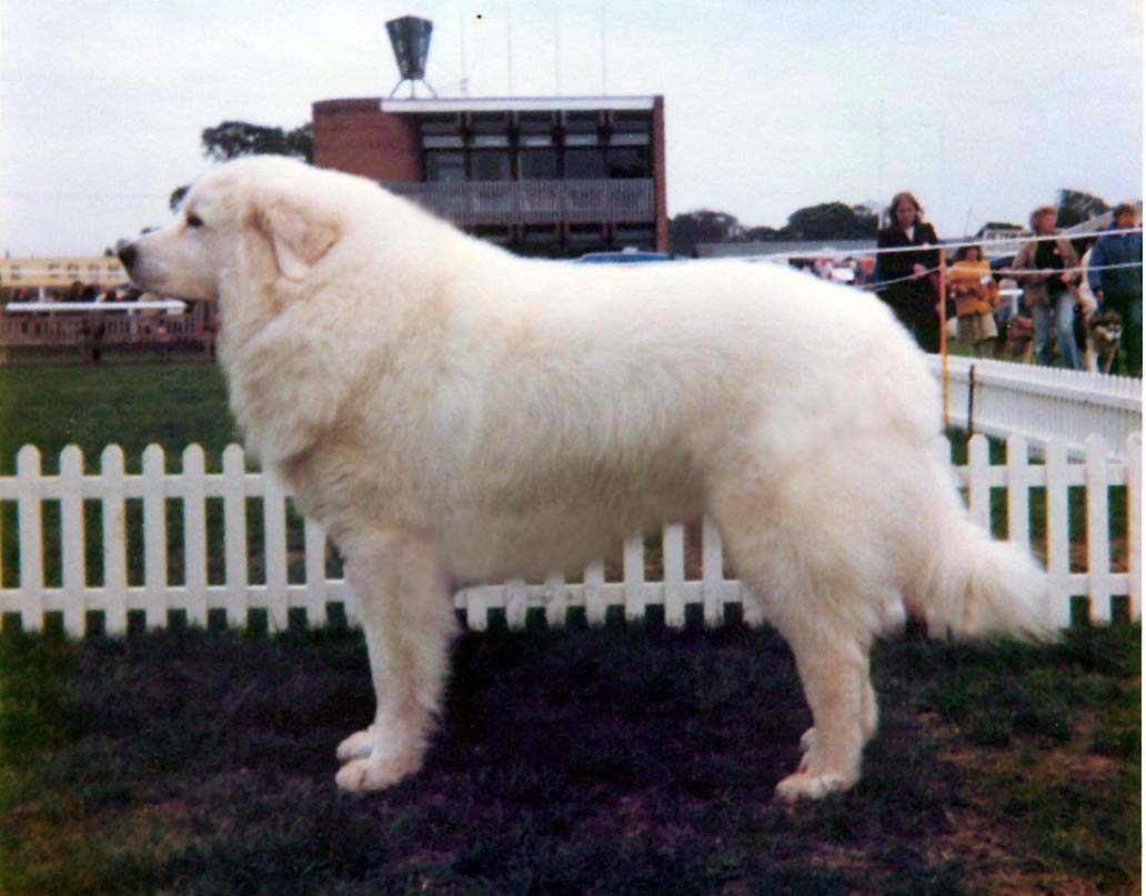 Fenwold_Bianco_1